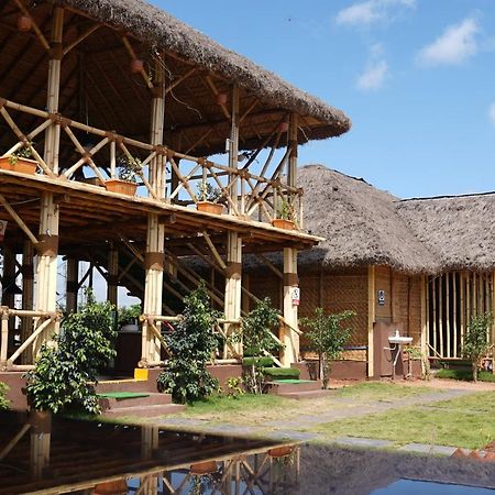 Hotel Spykee Spot Hampi Zewnętrze zdjęcie